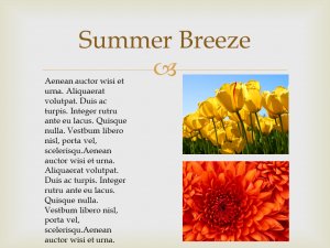 Summer Breeze