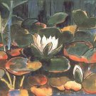 Schmidt Water Lilies