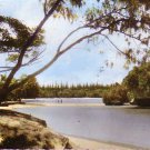 New Caledonia, Kuta Riverc. 1950