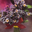 Bunch of forgetmenots French 1931