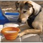 Small & big pet bowl