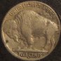 1917-D Buffalo Nickel VF #01077