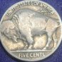 1925-S Buffalo Nickel VG #0220