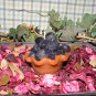 Small Fruit Tart Candles Raspberry Blueberry Cherry NEW Custom Very Fragrant