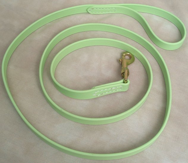6' Long 1/2" Pastel Green Beta Biothane Dog Leash