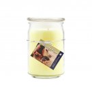 ODOR ELIMINATOR 18 OZ JAR CANDLE