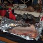 Vodun Obeah Stop a Gossip or Spy Ceremony