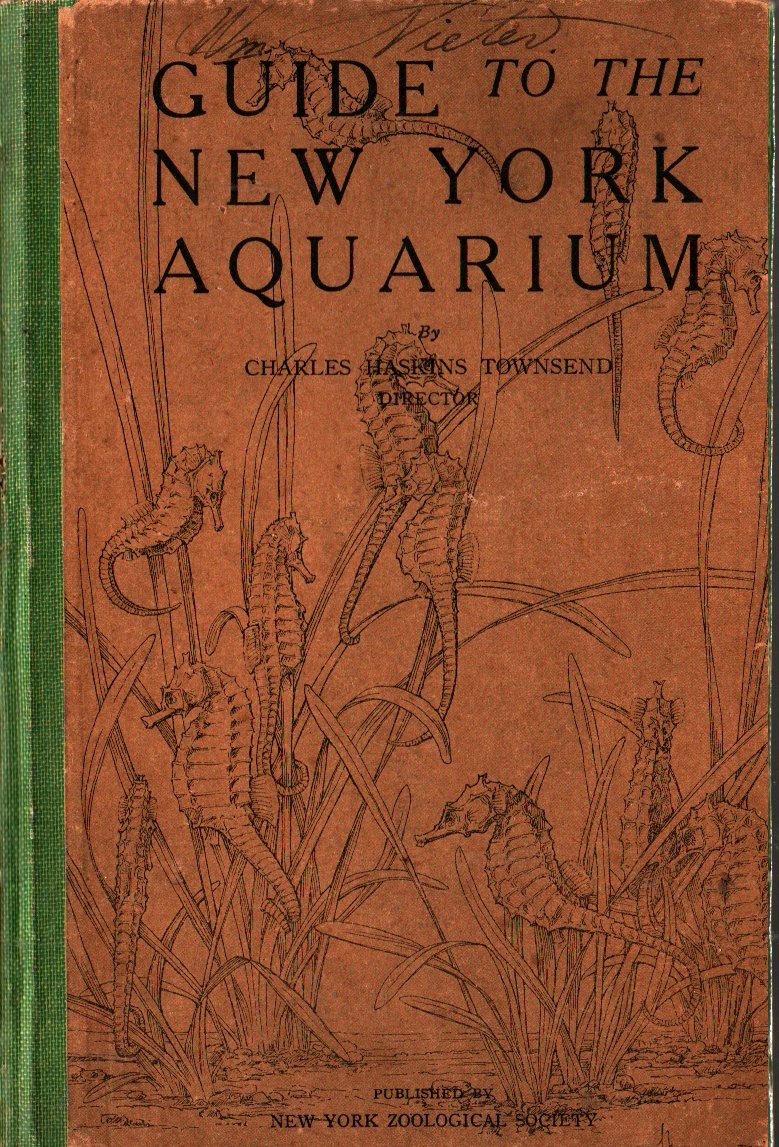Guide to the New York Aquarium - Charles Haskins Townsend - 1929 - Vintage Science Book