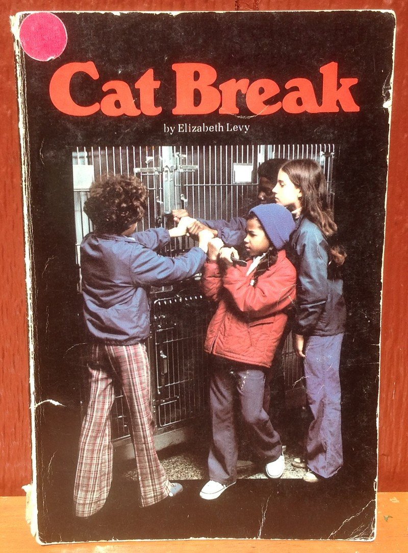 Cat Break - Elizabeth Levy - Norma Holt - 1976 - Vintage Kids Book