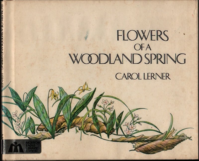 Flowers of a Woodland Spring – Signed First Edition - Carol Lerner - 1979 - Vintage Kids Book