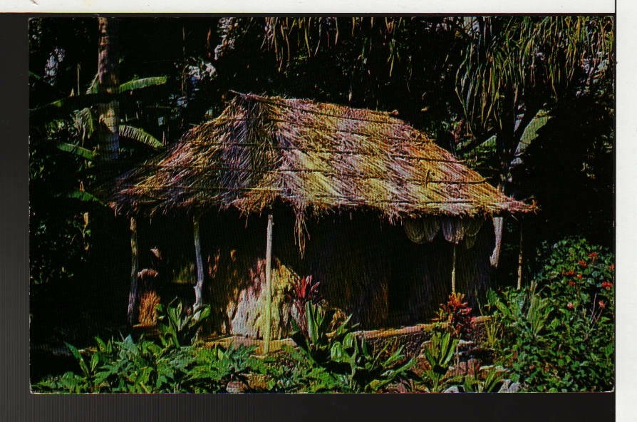 The Waioli Tea Room, Grass Hut, Manoa Valley, Honolulu, Hawaii, Postcard