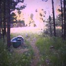 Canoe on the Trail