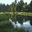 Canal in the Summer