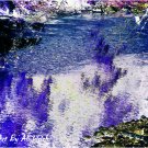 Reflections