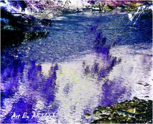 Reflections