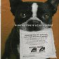 2005 Print Ad for Frontline Flea Protection~Pictures Cute BOSTON TERRIER Dog