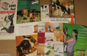 Lot of 7 Different Ads/Advertisements featuring Cute BOSTON TERRIER Dog in Ad