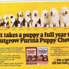 1978 Old English Sheepdog 1 month to 12 month growth schedule Dog/Puppy Chow Ad