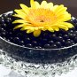 black crystal soil/water beads/water gel