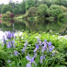 Mount Stewart, Ireland