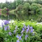 Mount Stewart, Ireland