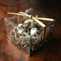 Quail Egg Soap- Set of 3