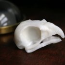 Bird Skull Soap
