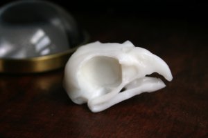 Bird Skull Soap