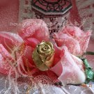 EVOLUTIONARY GIRL Utena Juri ROSE Locket One of a Kind