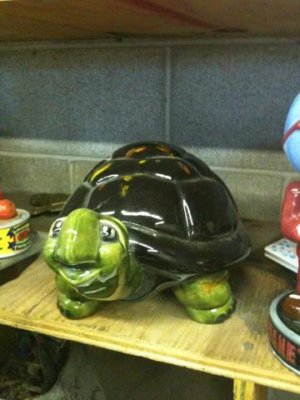 Turtle Trinket