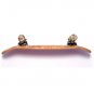 Professional New Complete SnakeSkin Wooden Fingerboard Fast Shipping!!!