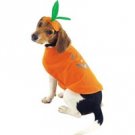 Pumpkin Pup