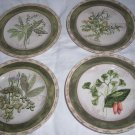 American Atelier Bouquet Garni Stoneware salad plate set of 4 used 8" D American Atelier Bouquet Garni Stoneware salad plate set of 4 used 8" D