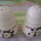 Almond ceramic salt and pepper shakers white roses flowers great conditions Almond ceramic salt and pepper shakers white roses flowers great conditions