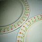 Set 2 Vintage Anchor Hocking USA Ironstone Tulip Time Dinner Plates RARE LOOK