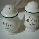 Pfaltzgraff Winterberry Salt & Pepper Shakers Excellent LOOK