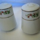 Gibson Everyday Christmas Charm  Holly & Berry Salt & Pepper Shakers Set 3" H