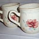 International China Stoneware Something Special Mugs Speckled pink flowers