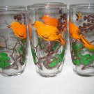 Vintage Glass Tumblers with Brown Thrush Bird on Branch Never usedt 4-pcs