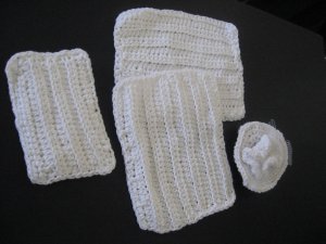 Dish cloth set