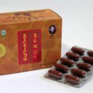 Myrmecodia Pendans / Ants Nests / Sarang Semut 50 Capsules