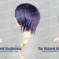 Gintama Takasugi Shinsuke Cosplay Wig Purple/Black