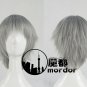 Neon Genesis Evangelion Nagisa Kaworu silver grey short cosplay wig