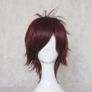 Vampire Knight Shiki Senri wine red Cosplay wig+free shipping