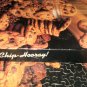 Springbok Chip-Chip-Hooray! Jigsaw Puzzle 500 Pcs PZL2123 Chocolate Chip Cookies