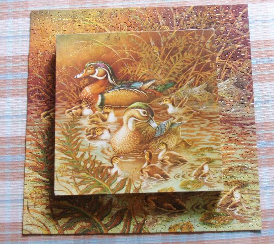 Springbok Family Outing Jigsaw Puzzle 500 Piece Puzzle PZL2109