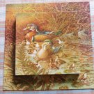 Springbok Family Outing Jigsaw Puzzle 500 Piece Puzzle PZL2109