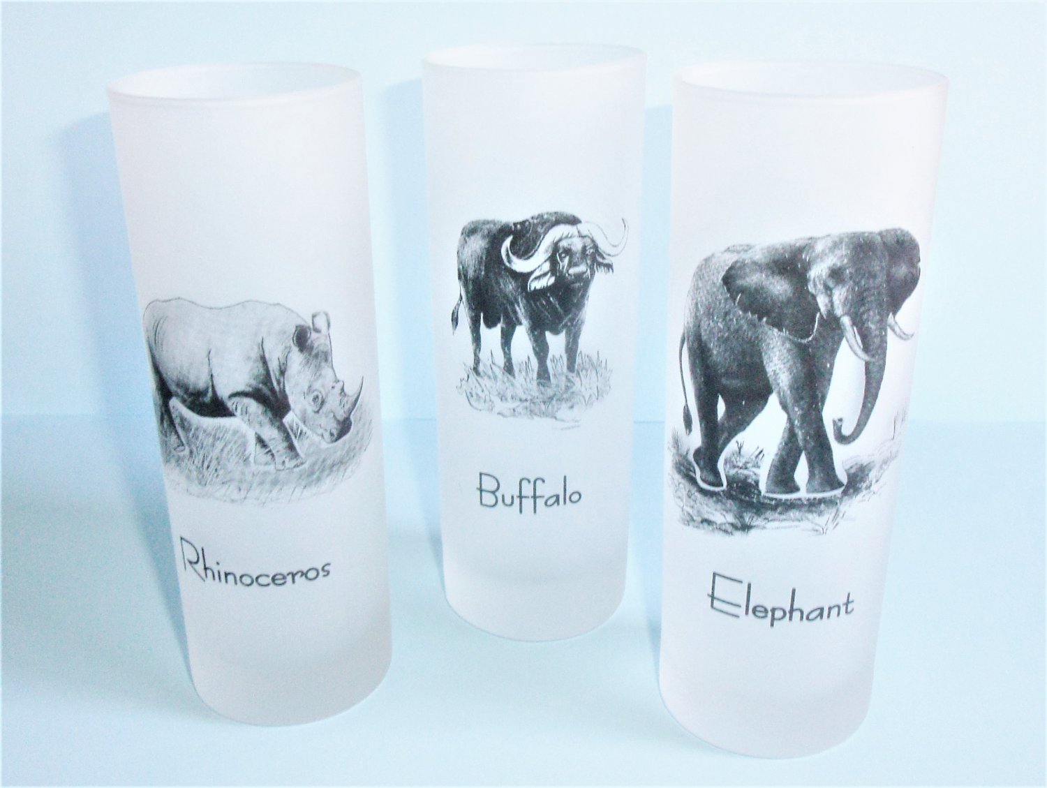 African Wildlife 3 Frosted Glass Collins Or Tea Tumblers By Firna FNG Indonesia