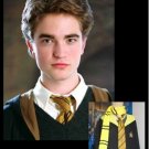 Wizarding World of Harry Potter CEDRIC DIGGORY COSTUME Halloween Movie Quality