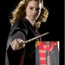 Wizarding World of Harry Potter HERMIONE GRANGER COSTUME Halloween Movie Quality